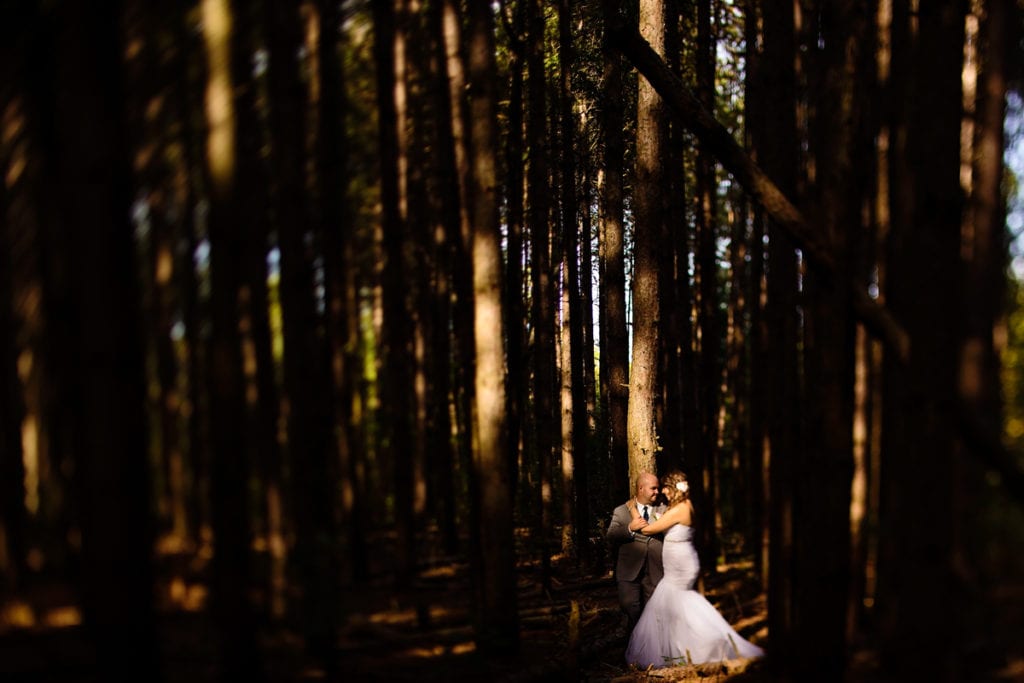 Bride and groom in patch of sunlight in forest