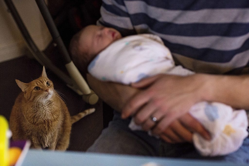 father holding newborn son while cat watches