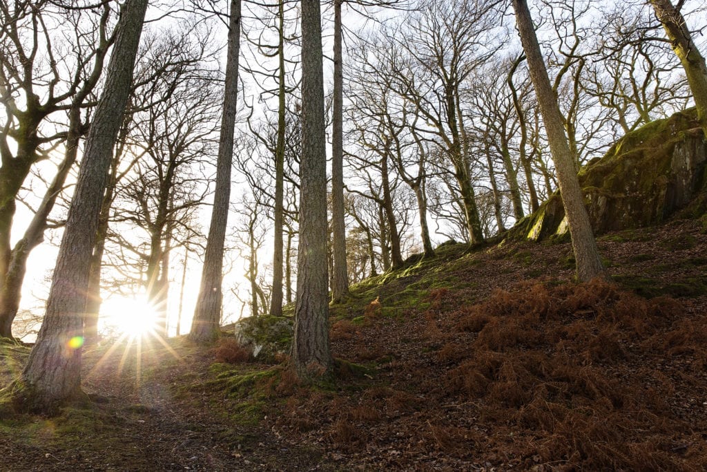 Sun beaming over the hills near Llanberis castle