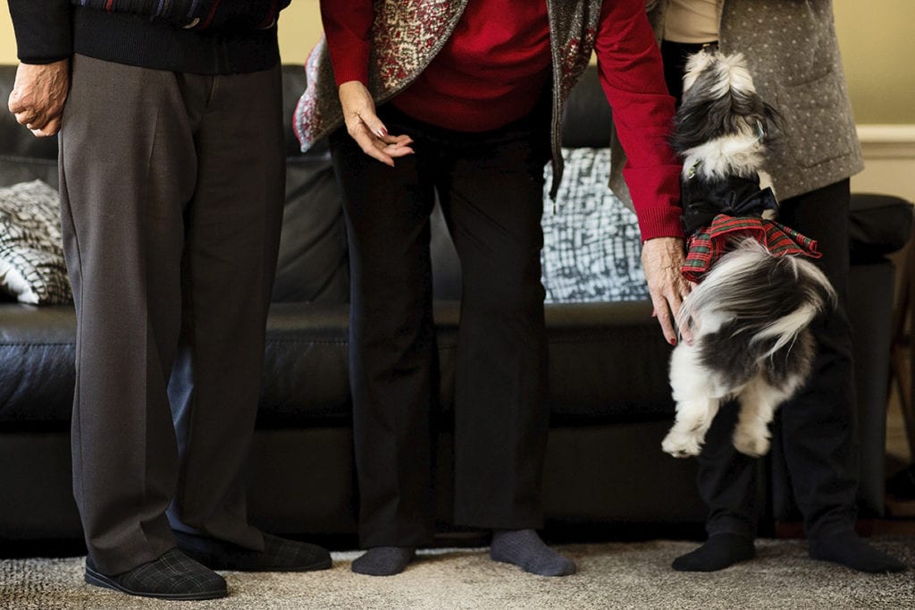 small dog wearing plaid tutu leaps in air in front of legs of three adults