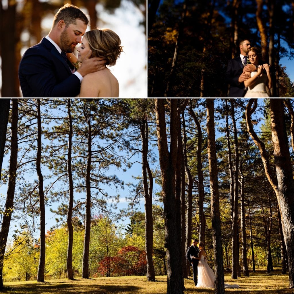 photo collage of groom holding bride's face, bride and groom cuddling in sunshine and bride and groom standing amongst tall pines during Autumnal NAV Centre Cornwall Wedding