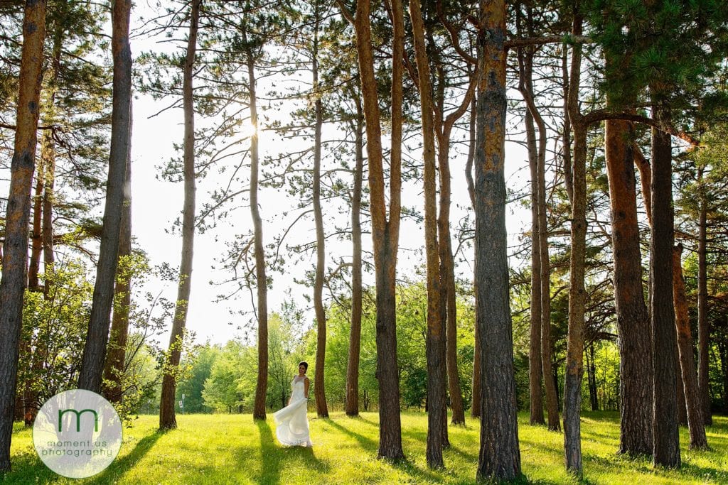 bride twirls amongst tall pines during Ontario & Quebec Wedding Photography portraits