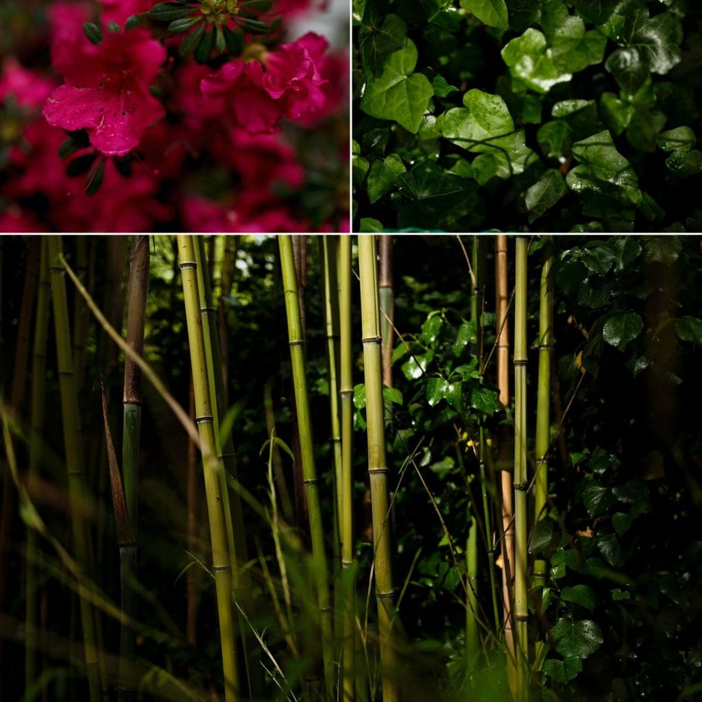 collage of bamboo ivy and bold pink blooms at Italian villa