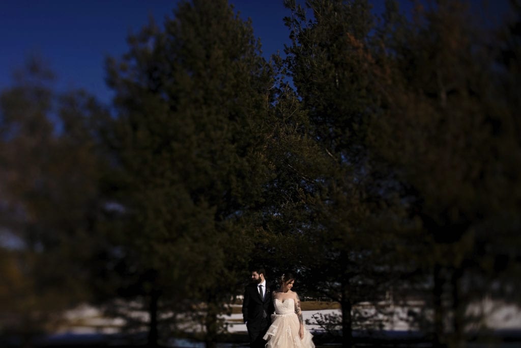 couple standing in front of pines in strong sunlight with bride in blush gown