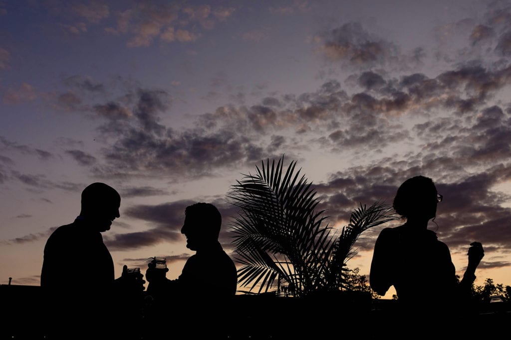 weddings guests in silhouette on patio next to fern in front of sunset sky