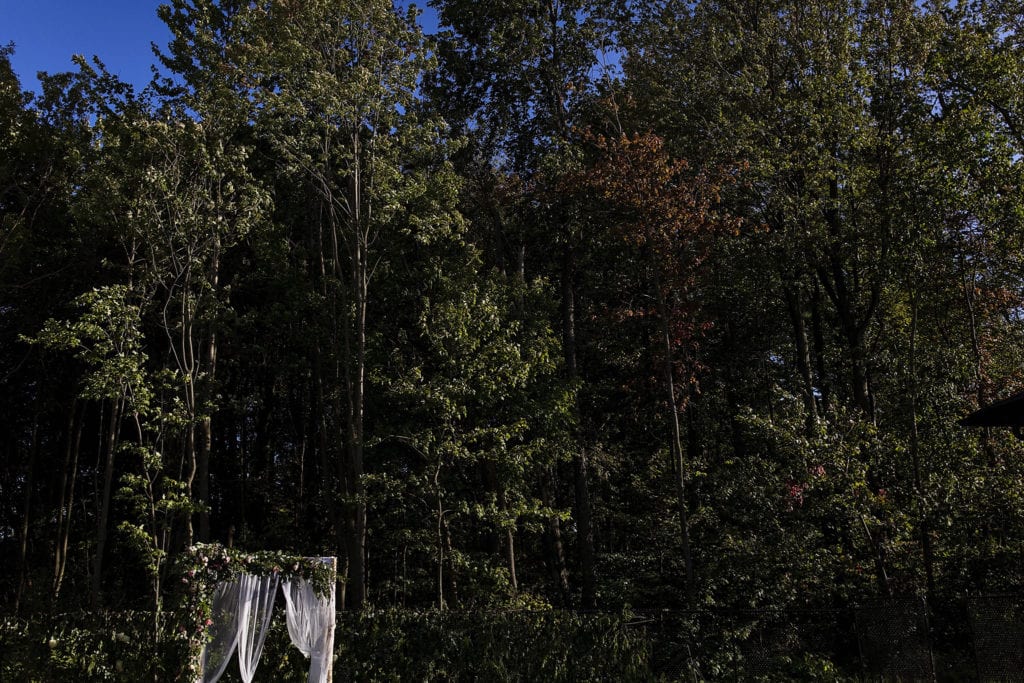 arbor covered in tulle and florals against forest backdrop