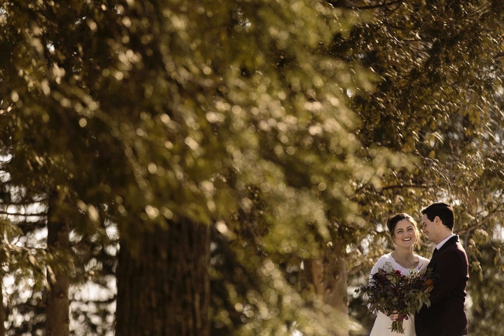 bride and groom stand together amongst cedars