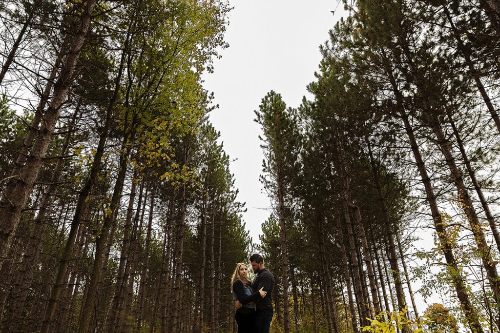 serious looking couple in pine tree stand forest during woodsy engagement shoot