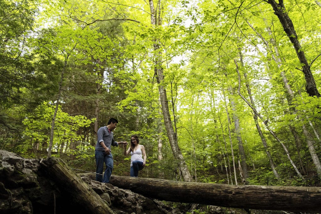 man helping woman step across fallen tree in forest during Gatineau Park engagement session