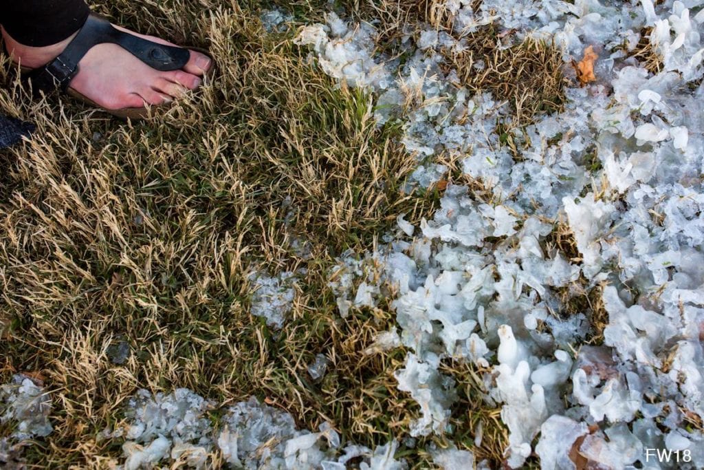 foot in Birkenstock next to ice