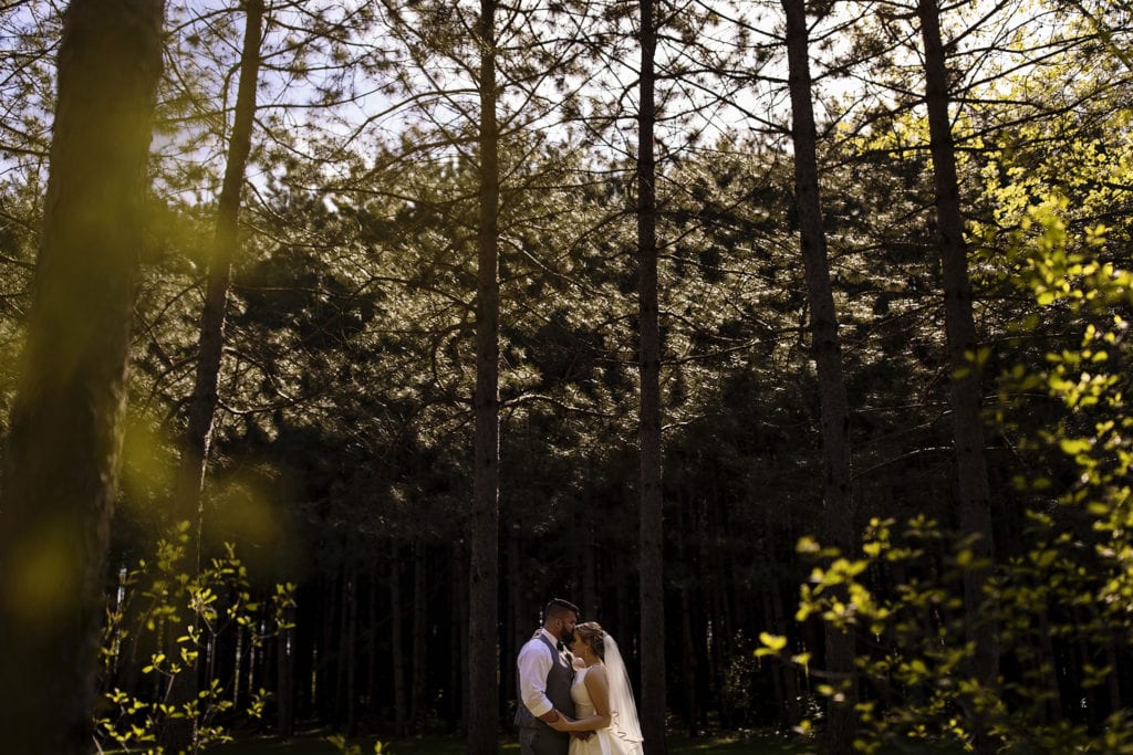 bride and groom cuddle in front of pine trees