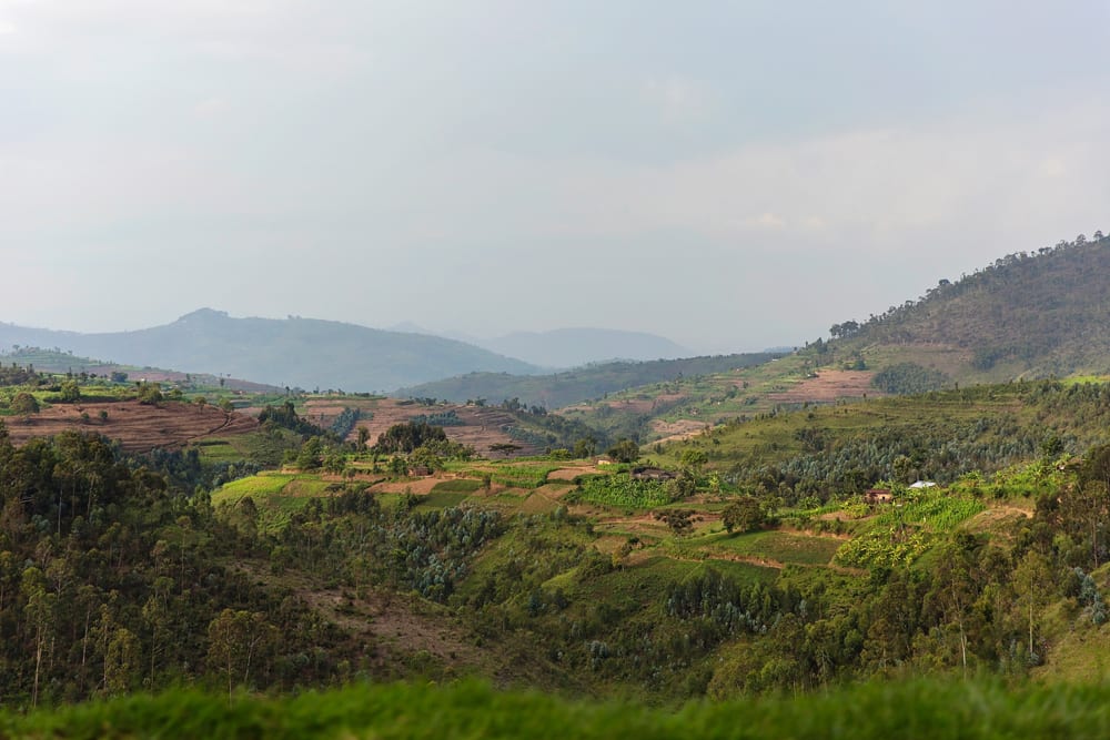 view from Rwanda genocide memorial