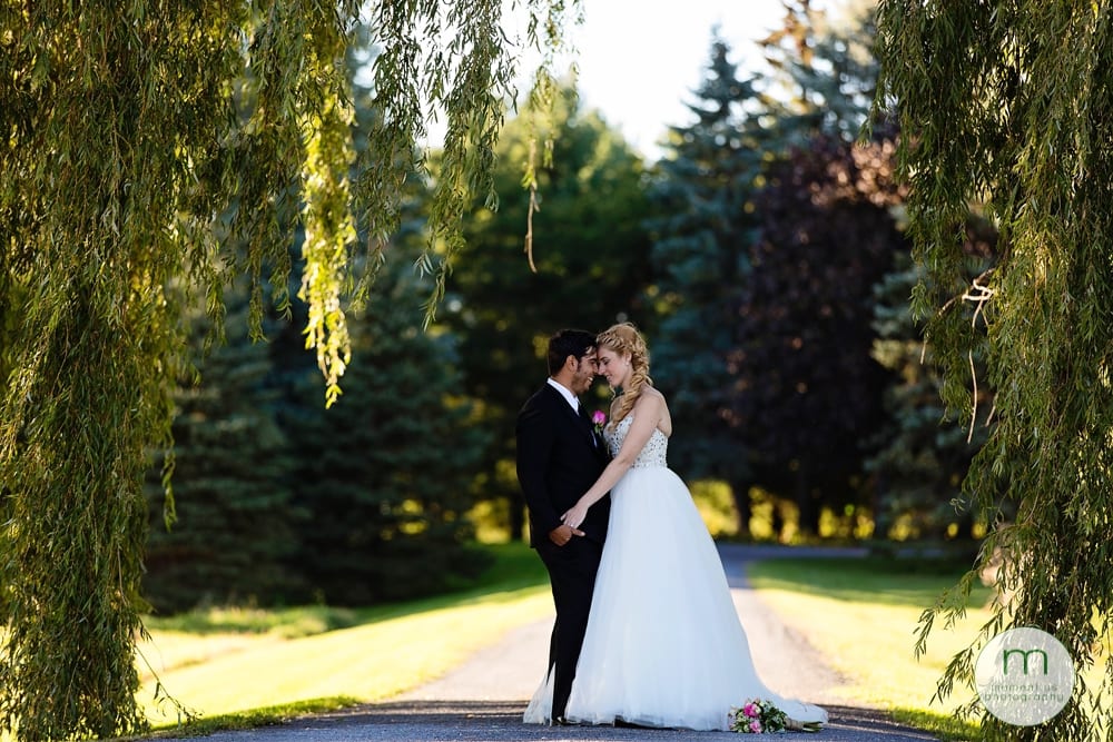 bride and groom under willow tree