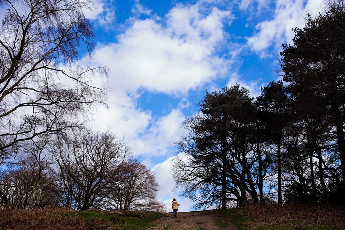 girl walking up Richmond Park path during London family photography session