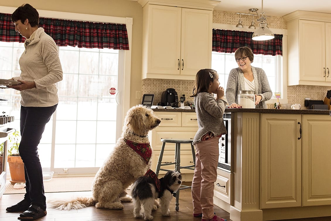 girl eats cookie at kitchen counter while aunts bake and dogs watch