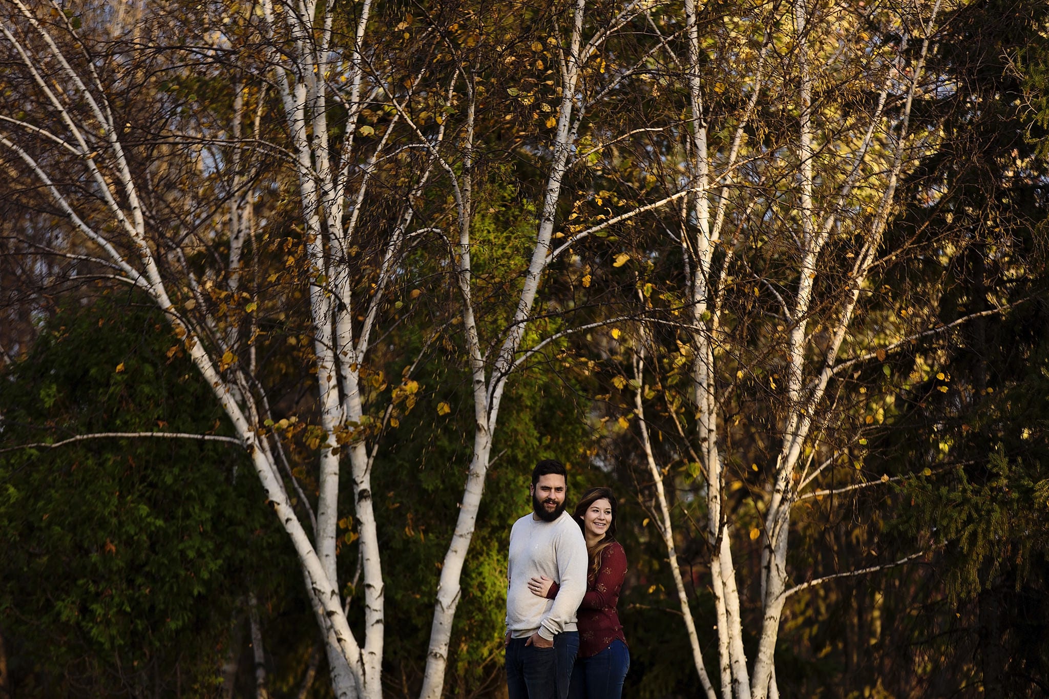 man and woman embracing between birch trees in Cornwall Autumn Engagement Session