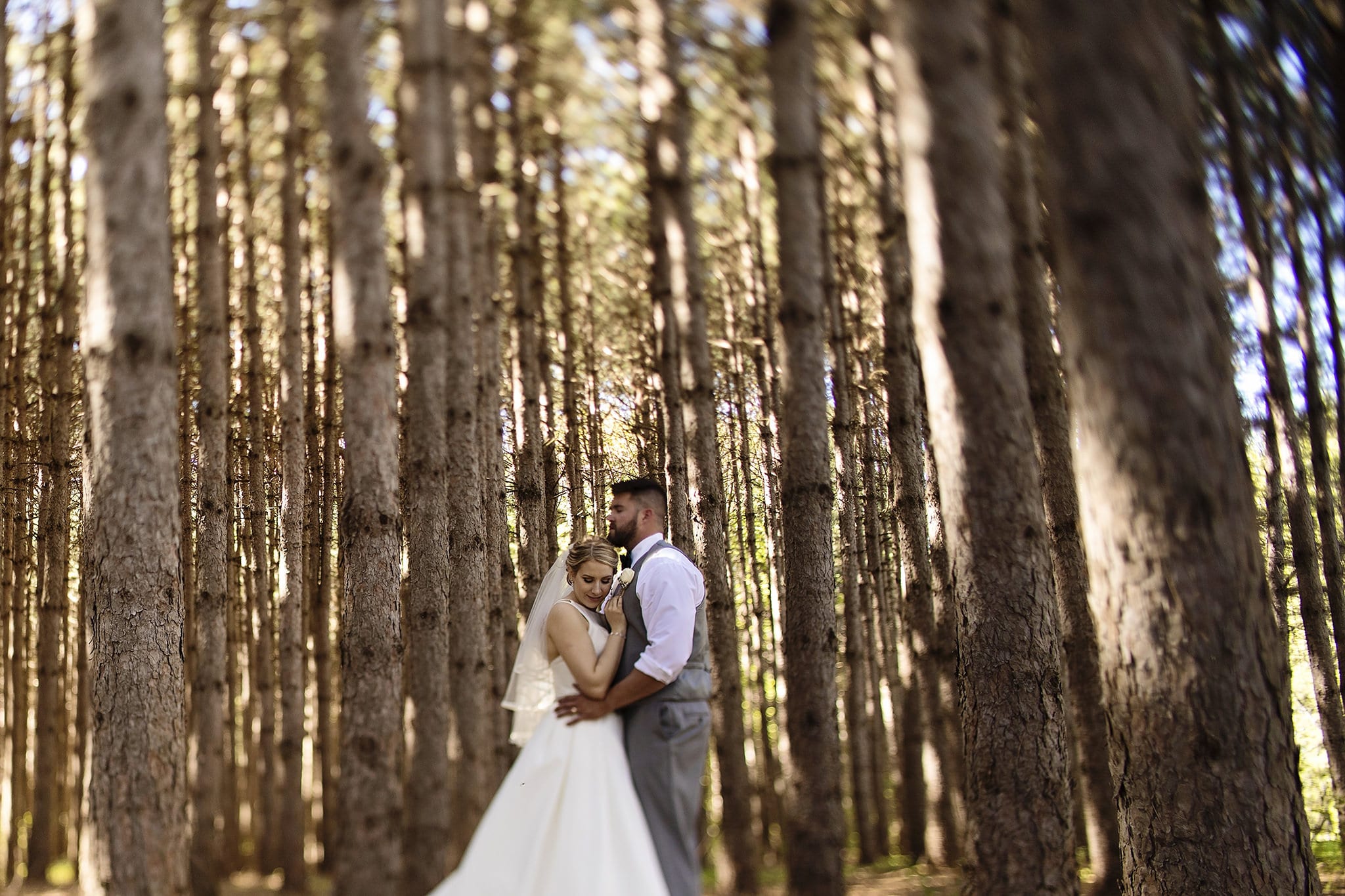 bride cuddles against groom's chest between tall pine trees