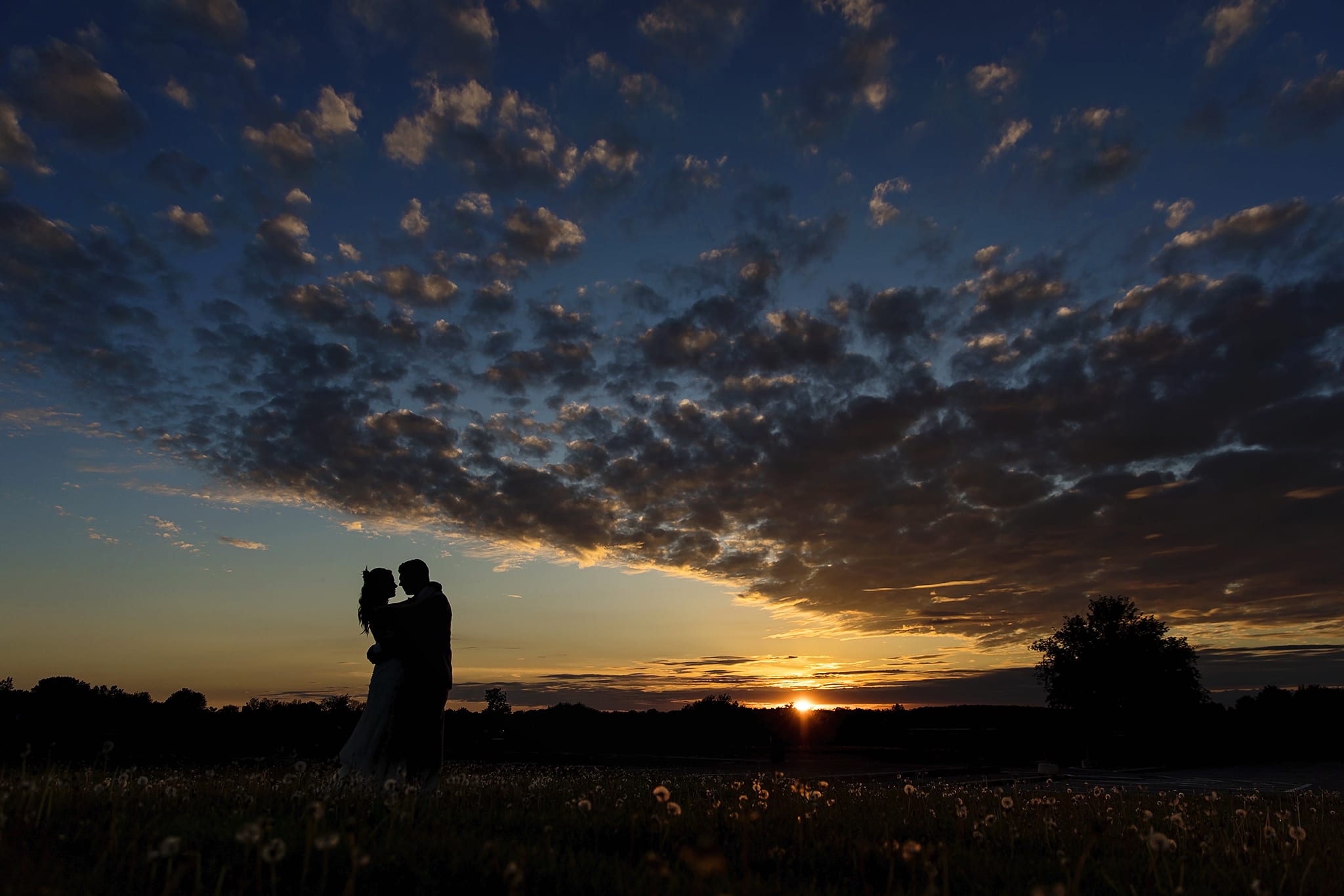 NAV Centre wedding couple stand in dandelion field at sunset with clouds in the sky