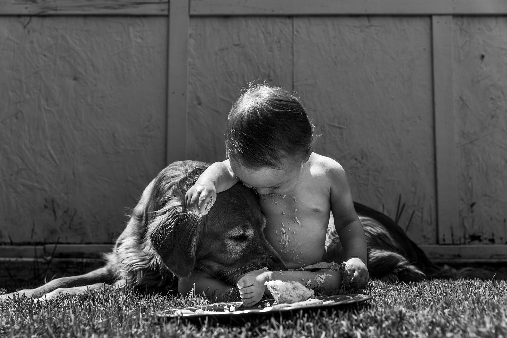 boy cuddle dog while sitting in front of birthday cake during documentary first birthday session