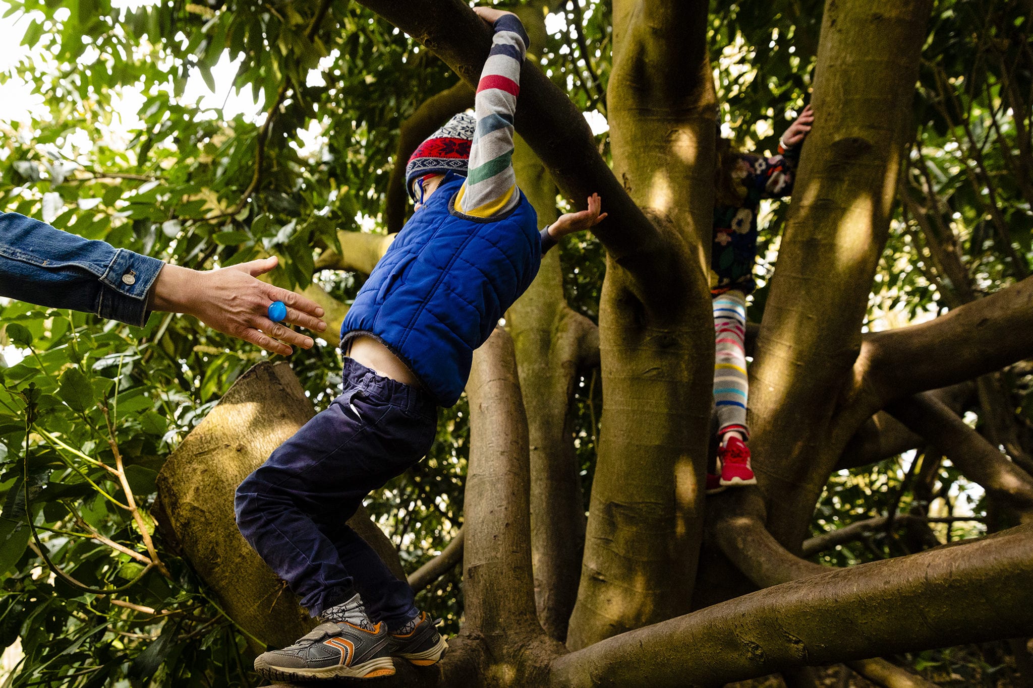 hands reach for boy in blue vest swinging from tree branch