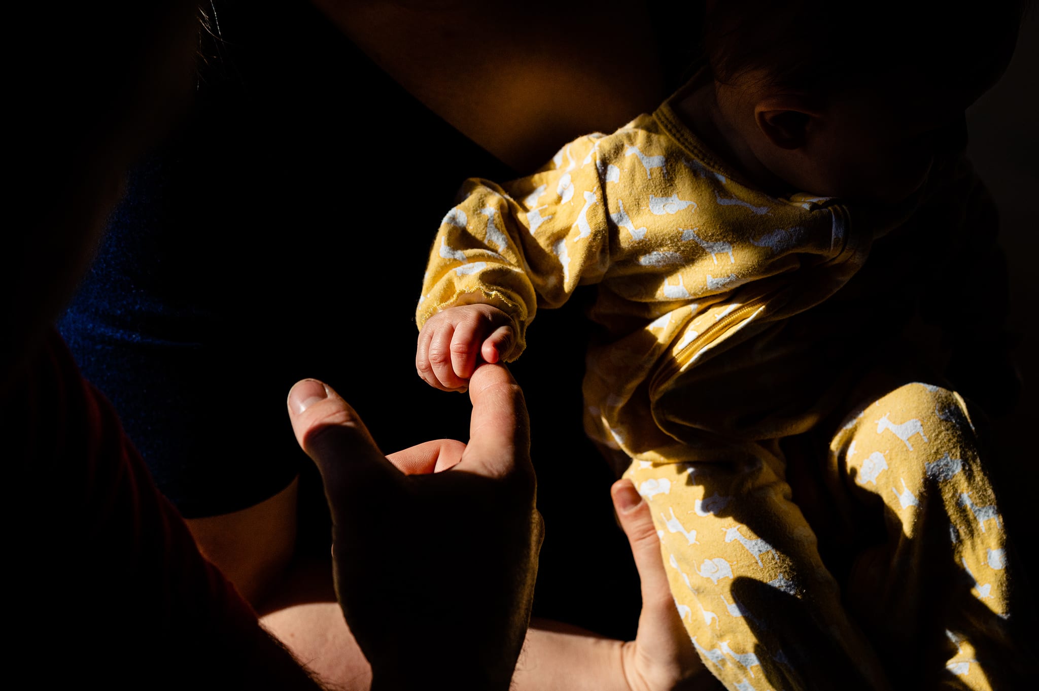 baby grasps dad's hand in sunlight