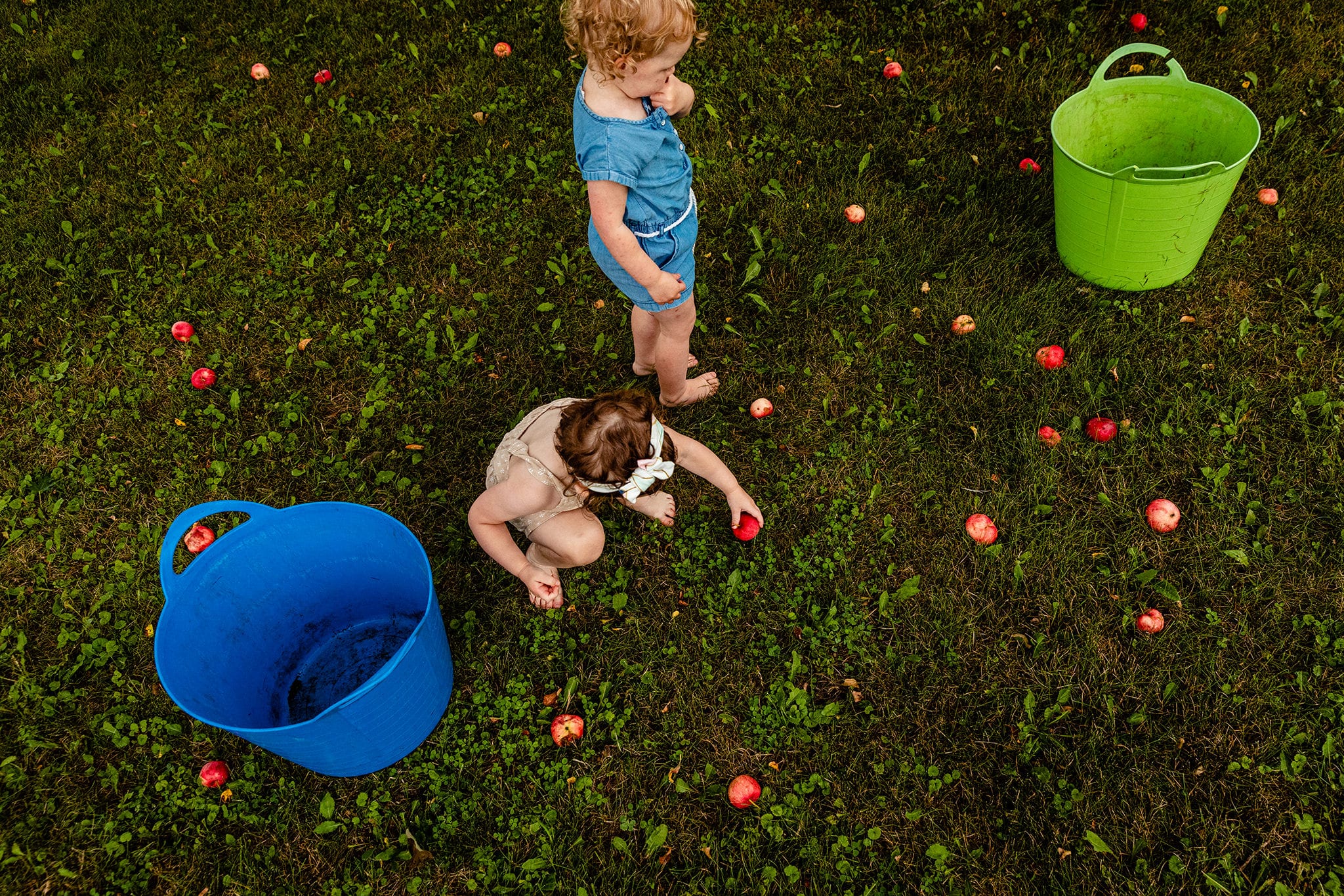 preschoolers stand between green and blue buckets surrounded by apples