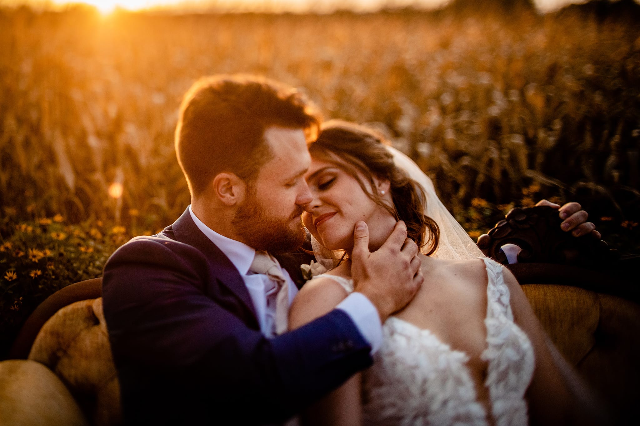 groom touches bride's face in warm autumn light in front of corn field