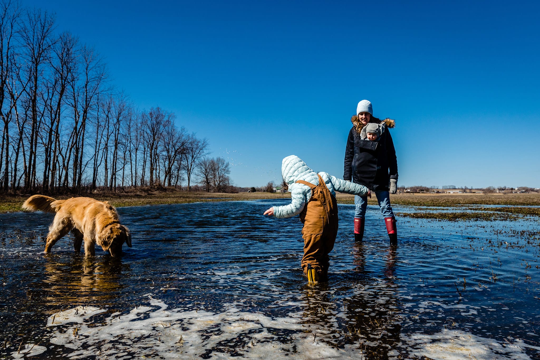 girl stands in large puddle with mom, baby brother and dog