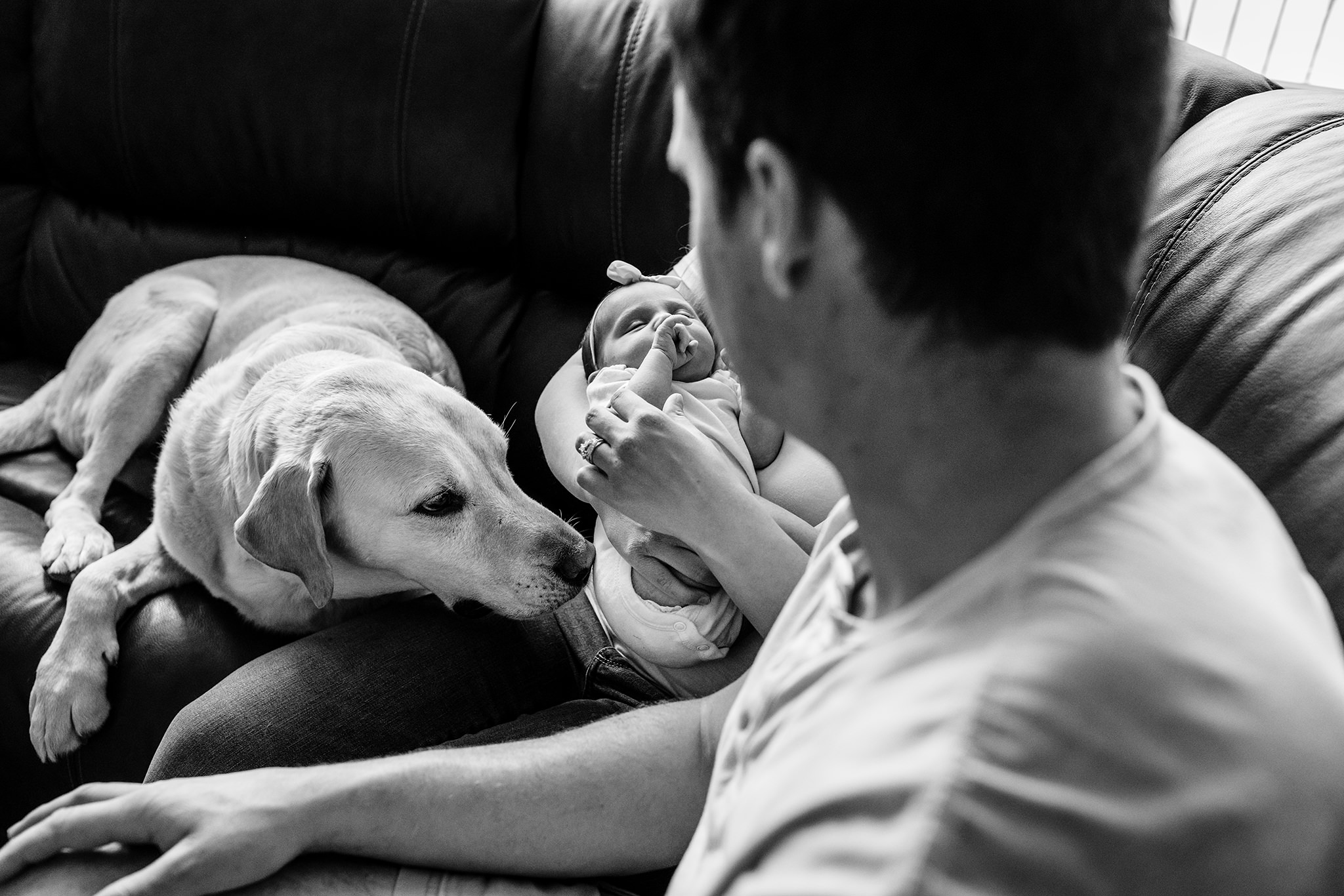 Mother cradles her baby daughter sitting on a couch while father sits beside and dog sniffs the baby.